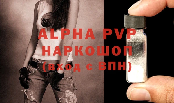 стафф Белокуриха